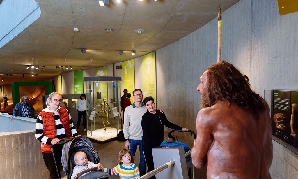 Besucher der Dauerausstellung des Neanderthal Museums betrachten Mr. N
