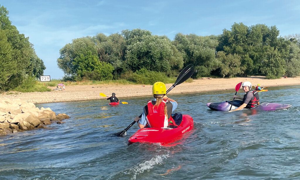 Paddler:innen auf dem Rhein