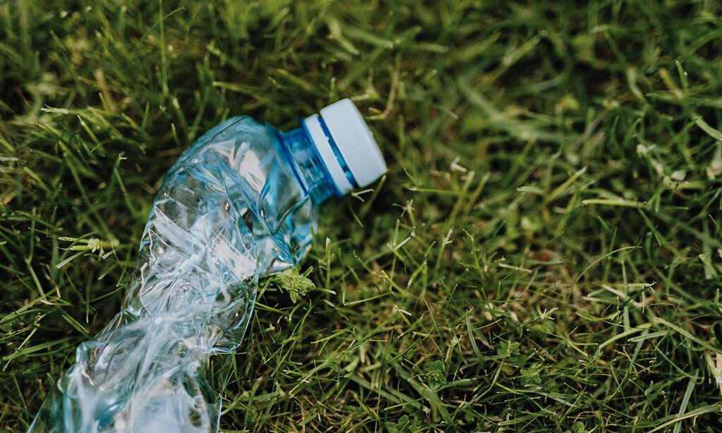 zerdötschte Pet-Flasche im Gras