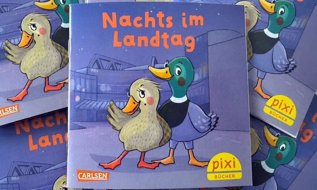 Cover des Pixi-Buches Nachts im Landtag