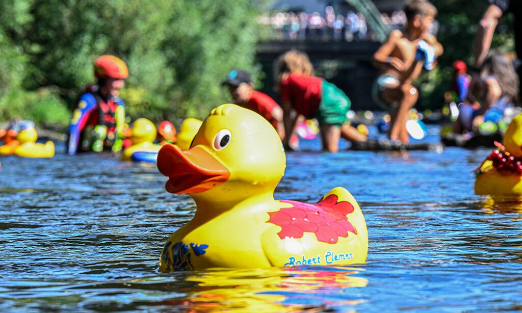 Ein Quietscheentchen schwimmt in der Wupper, im Hintergrund weitere Entchen und Kinder, die im Wasser spielen