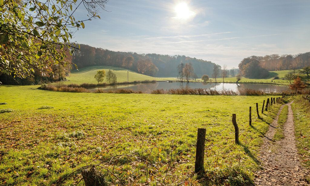 Blick ins Rotthäuser Bachtal