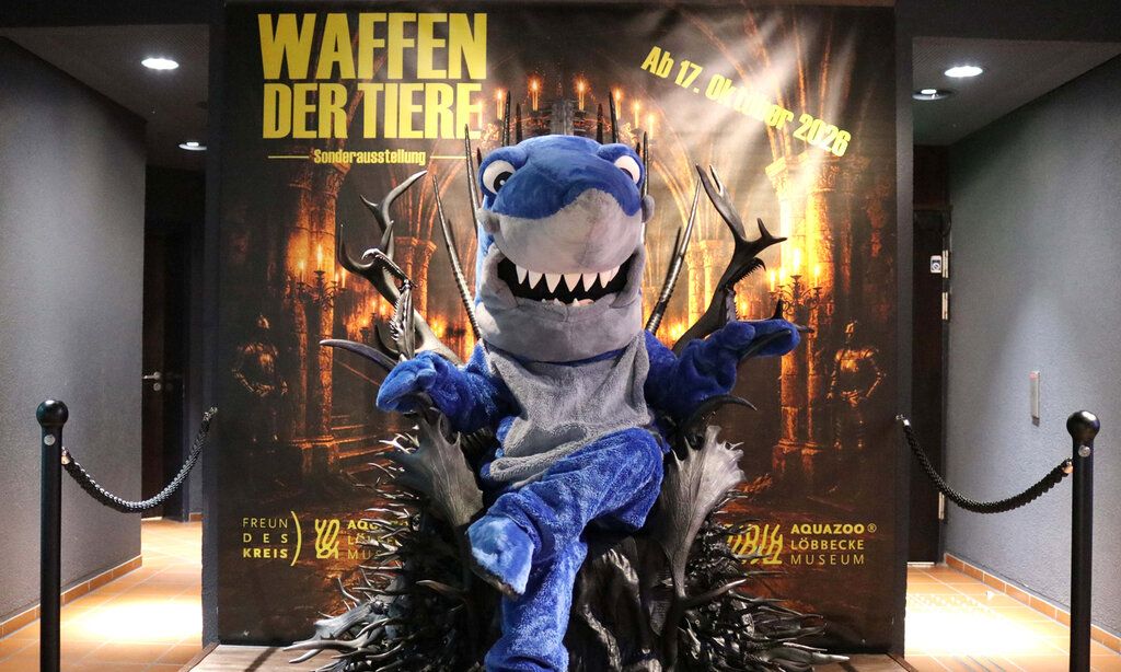 Verkleideter Mensch in Haikostüm sitzt im Aquazoo vor dem Ankündigungsplakat der Ausstellung „Waffe der Tiere“