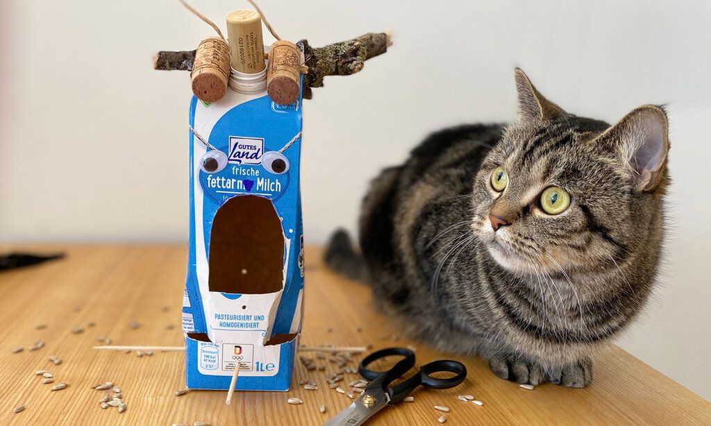 selbstgebasteltes Vogelhaus aus einer Tetrapack-Milchtüte, daneben sitzt eine Katze