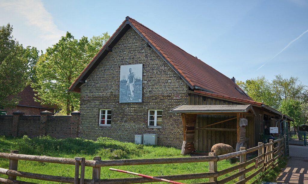 Stallung mit Wiese und Zaun und Schaf davor, am Haus hängt ein großes schwarz/weißes Foto von einer Person