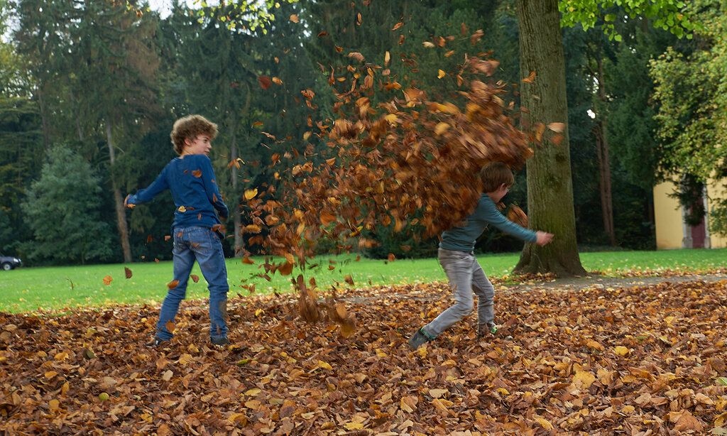 Zwei Jungen spielen im Laub