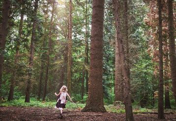 kleines Mädchen läuft im Wald zwischen großen Bäumen herum, Sicht von hinten