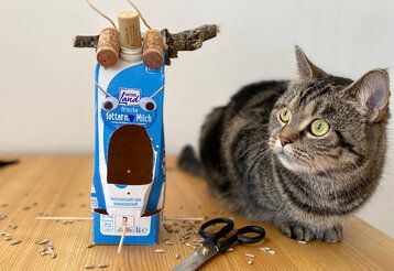 selbstgebasteltes Vogelhaus aus einer Tetrapack-Milchtüte, daneben sitzt eine Katze