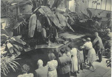 Früher lebten im hinteren Teil des Aquariums Krokodile. Heute befindet sich an dieser Stelle die Leguaninsel.
