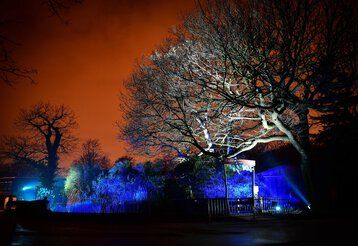 Der Zoo Duisburg im Herbst mit unheimlicher Halloween-Beleuchtung.