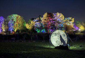 Lichtinstallationen im Duisburger Zoo im Rahmen der Veranstaltung "Zoolichter".
