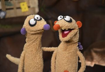 Die Erdmännchen Jan & Henry