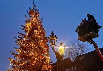 Ein großer Tannenbaum wird in der Dämmerung mit Hilfe einer Hebebühne geschmückt.