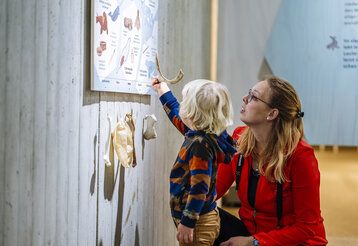 Taststation in der Sonderausstellung Grönland des Neanderthal Museums