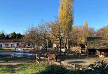 Das Gelände des ASP Oberkassel am Morgen ohne Besucher:innen, aber mit Pferd