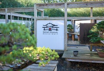 Blick ins Bonsai Museum Düsseldorf