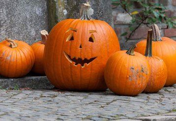 Geschnitze Halloween-Kürbisse stehen vor eine Mauer.