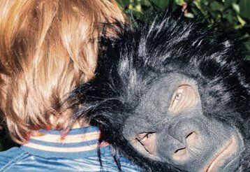 Ein als Gorilla verkleideter Schauspieler legt seinen Kopf auf die Schulter eines Mädchens