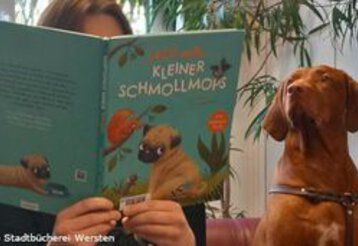Lesen mit Hund in der Bücherei