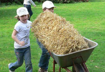 Zwei Kinder rennen mit einer mit Stroh beladenen Schubkarre über eine Wiese.