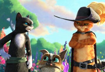 Zwei Katzen reden mit einander, dazwischen steht ein kleinerer Hund