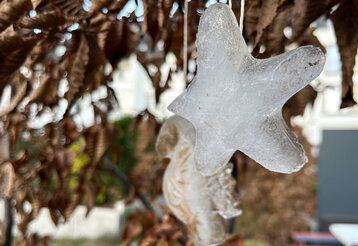 Eisstern, der in einem Baum hängt