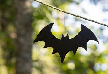 eine Fledermaus aus Pappe hängt aneiner Leine, im Hintergrund unscharfe Bäume