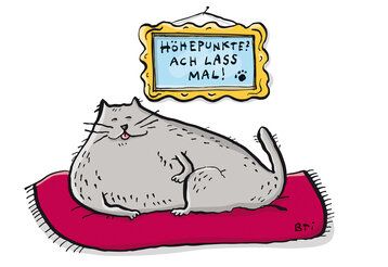 Illustration einer Katze, die grinsend auf einem Kissen liegt,  Vater Kolumne