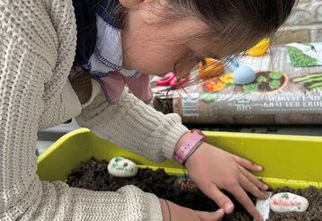 Kind pflanzt etwas in einen Blumenkasten