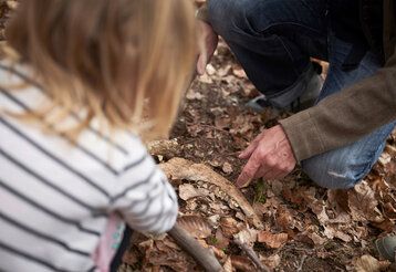 Kind und Erzieher knien im Laub und haben einen Tierschädel entdeckt, Personen von hinten und im Anschnitt