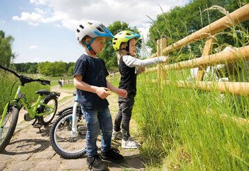 zwei Kinder stehen an einem Zaun einer Kuh-Weide und halten einer Kuh Grasbüschel hin, neben ihnen stehen abgestellte Fahrräder