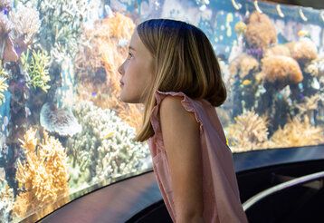 Mädchen steht im Aquazoo vor dem Aquarium des Korallenriffs