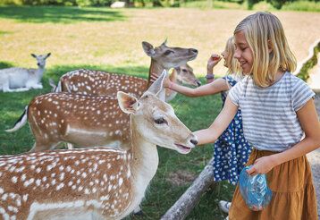 Zwei Mädchen füttern Rehe im Wildpark