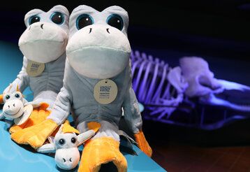 Zwei Plüschtiere, Maskottchen Fred Aquazoo