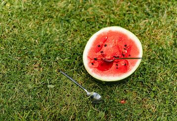 eine Melone mit zwei Löffeln auf einer Wiese