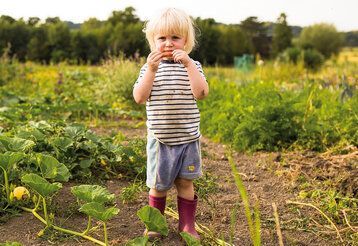 Kleiner Junge steht mit Gummistiefeln auf einem Acker und hält sich ein Stück Möhre vor den Mund