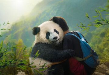 Filmszene, ein Panda und ein Junge mit einem Rucksack umarmen sich, im Hintergrund bewaldete Berge