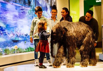 Im Neanderthal Museum steht eine Familie um die Nachbildung eines kleinen Baby Mammuts