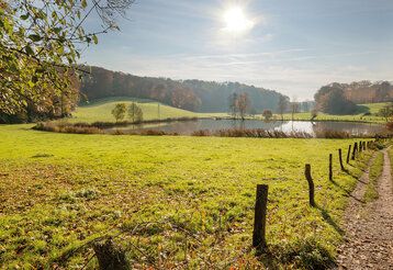 Blick ins Rotthäuser Bachtal