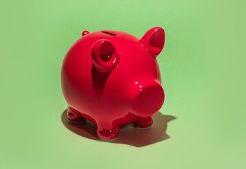 Rotes Sparschwein auf grünem Grund