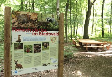 Der Aaper Wald hat nun einen Wald-Klima-Pfad. Der Rundweg führt vorbei an 13 Stationen und vermittelt auf 15 Infotafeln Wissen rund um den Schwerpunkt der Klimaanpassung im Stadtwald.