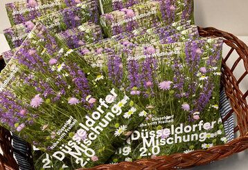 Samentütchen Düsseldorfer Mischung 2.0 in einem Korb