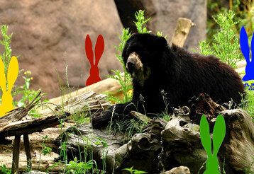 Ein Bär im Außengehege, umgeben von bunten Osterhasen-Silhouetten