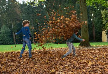 Zwei Jungen spielen im Laub
