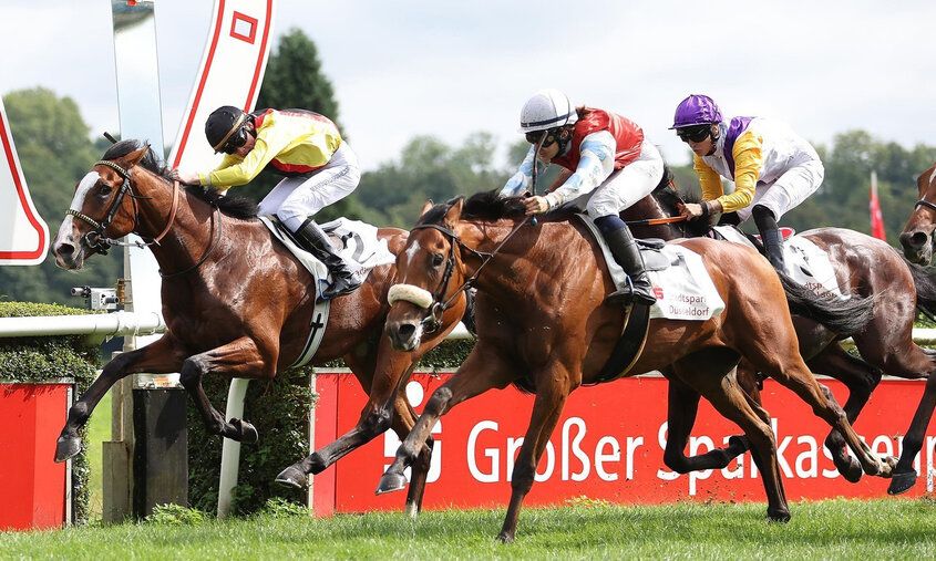 Reiter beim Galopprennen